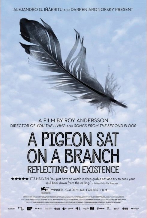 Movie: When pigeons think about existence