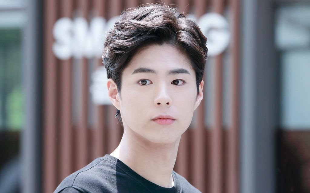 How did Park Bo Gum conquer the audience?